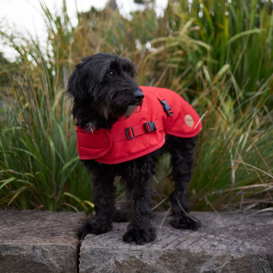 Adventure Dog Coat with Harness Hatch - Red