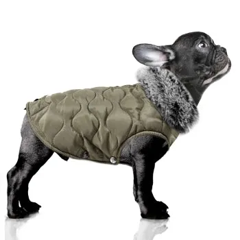 MILK AND PEPPER  THEODORE KHAKI JACKET FOR BULLY BREEDS