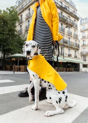 The Toutouciré SAINT JAMES - raincoat for dogs (JAUNE)